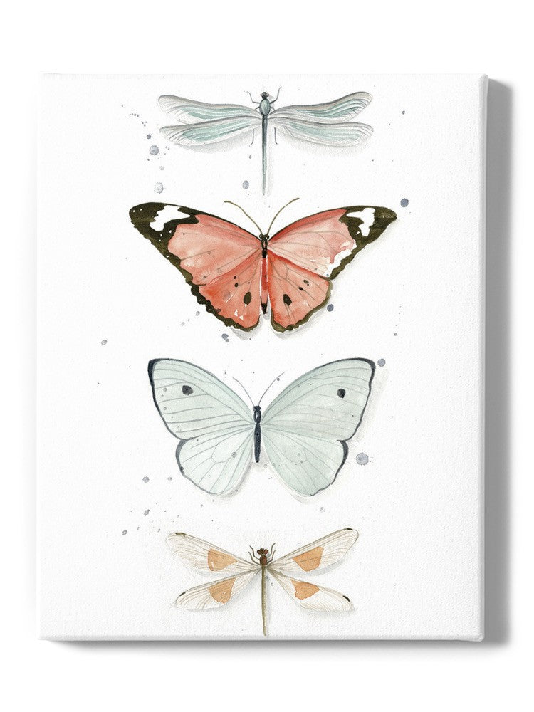 Summer Butterflies. Wall Art -Jennifer Paxton Parker Designs