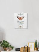 Summer Butterflies. Wall Art -Jennifer Paxton Parker Designs