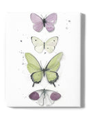 Summer Butterflies Set Wall Art -Jennifer Paxton Parker Designs