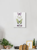Summer Butterflies Set Wall Art -Jennifer Paxton Parker Designs