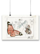 Summer Butterflies Wall Art -Jennifer Paxton Parker Designs