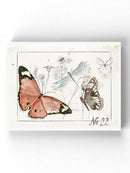 Summer Butterflies Wall Art -Jennifer Paxton Parker Designs