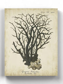 Turquoise Esper Coral I Wall Art -Johann Esper Designs