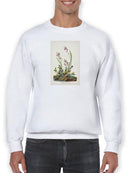 Field Sparrow Sweatshirt -John James Audubon Designs