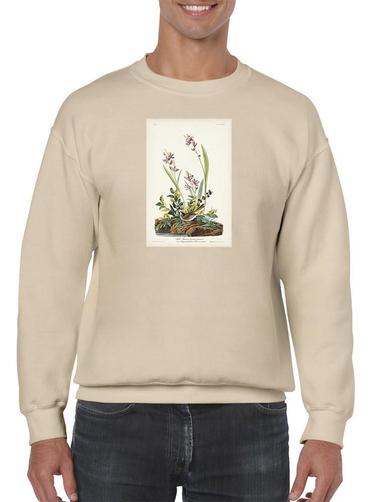 Field Sparrow Sweatshirt -John James Audubon Designs