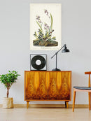 Field Sparrow Wall Art -John James Audubon Designs