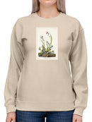 Field Sparrow Sweatshirt -John James Audubon Designs