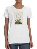 Field Sparrow T-shirt -John James Audubon Designs