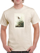 Sharp-tailed Finch T-shirt -John James Audubon Designs