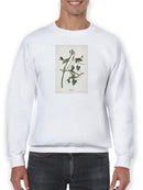 Yellow-rump Warbler Sweatshirt -John James Audubon Designs