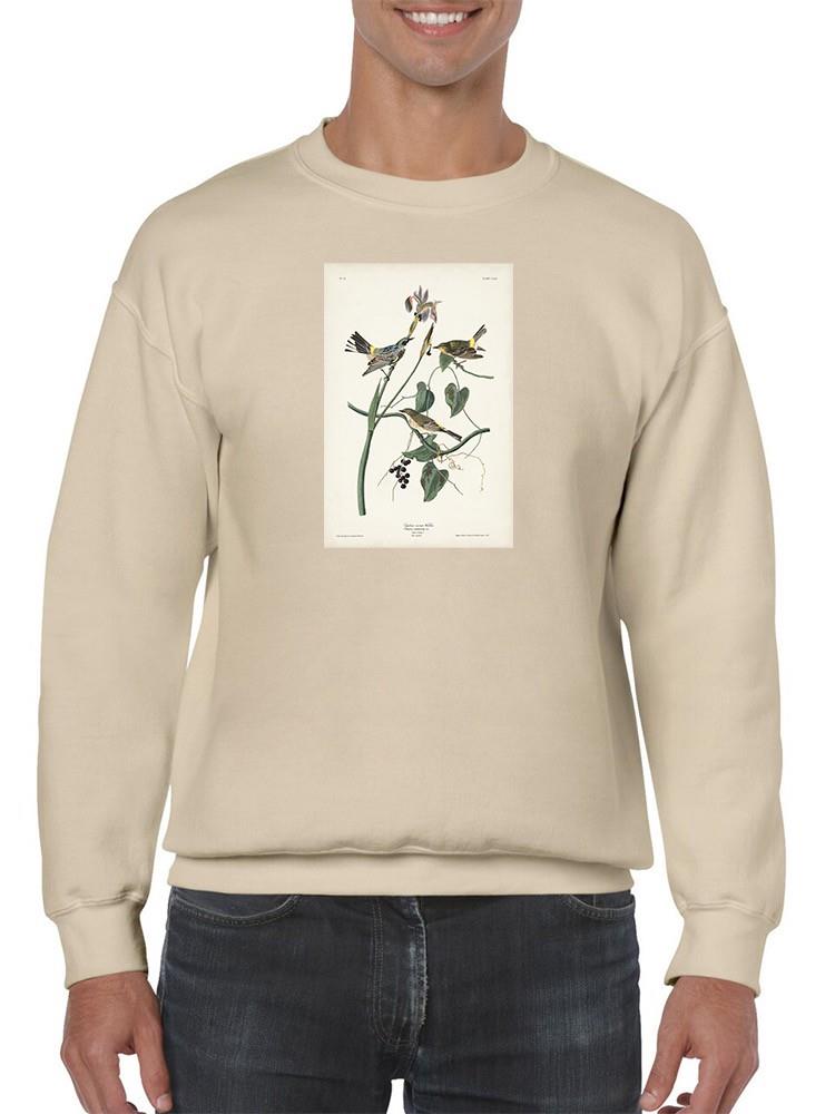 Yellow-rump Warbler Sweatshirt -John James Audubon Designs
