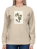 American Gold Finch Sweatshirt -John James Audubon Designs