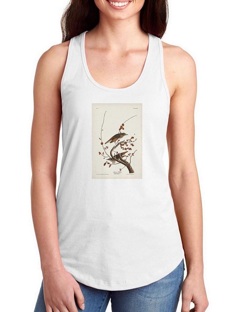 Hermit Thrush T-shirt -John James Audubon Designs