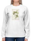 Carbonated Warbler Sweatshirt -John James Audubon Designs
