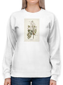 White-Eyed Flycatcher Sweatshirt -John James Audubon Designs
