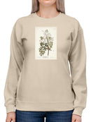 White-Eyed Flycatcher Sweatshirt -John James Audubon Designs
