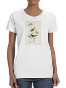 White-Throated Sparrow T-shirt -John James Audubon Designs