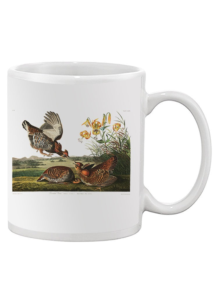 A Pinnated Grouse Mug -John James Audubon Designs