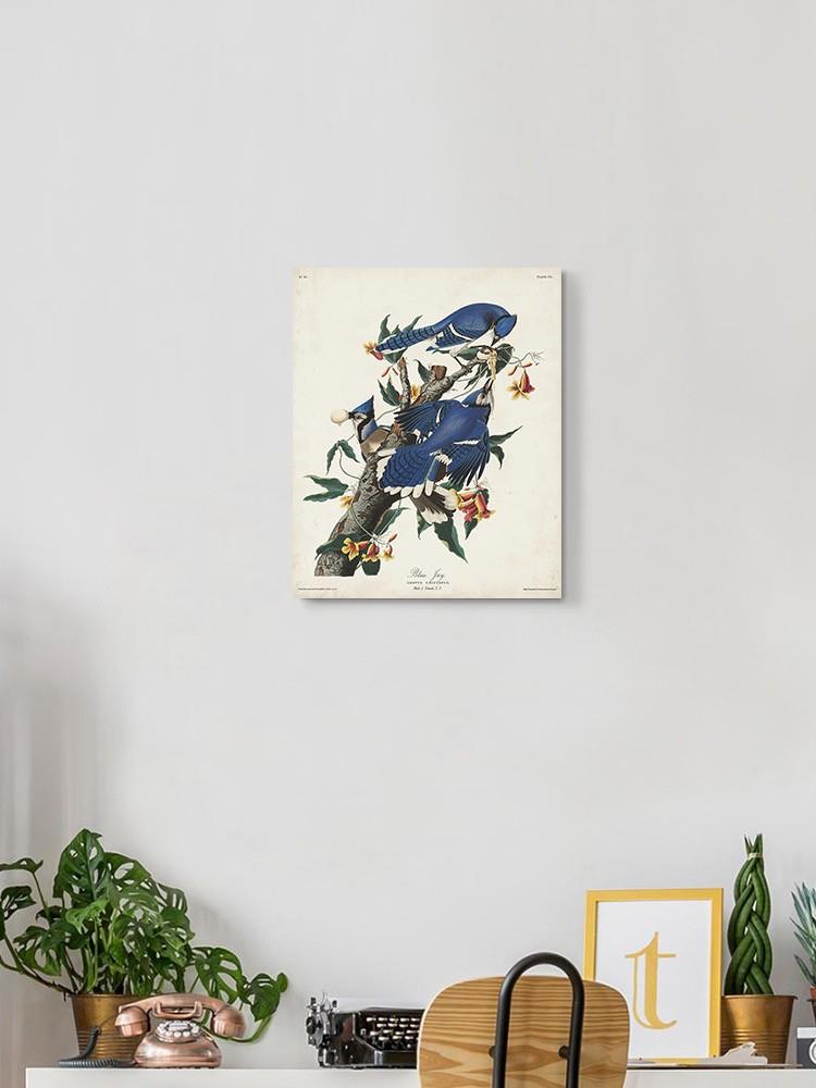 Blue Jay Iii Wall Art -John James Audubon Designs