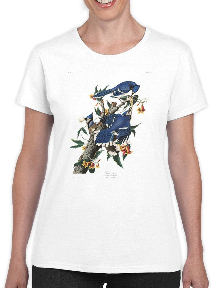 Blue Jay T-shirt -John James Audubon Designs