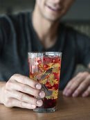 Canada Jay Ii Pint Glass -John James Audubon Designs