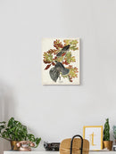 Canada Jay Iii Wall Art -John James Audubon Designs