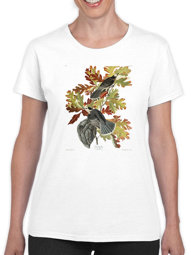 Canada Jay T-shirt -John James Audubon Designs