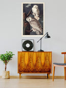 Snowy Owl Iii Wall Art -John James Audubon Designs