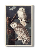 Snowy Owl Iii Wall Art -John James Audubon Designs