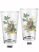 American Robin Ii Pint Glass -John James Audubon Designs