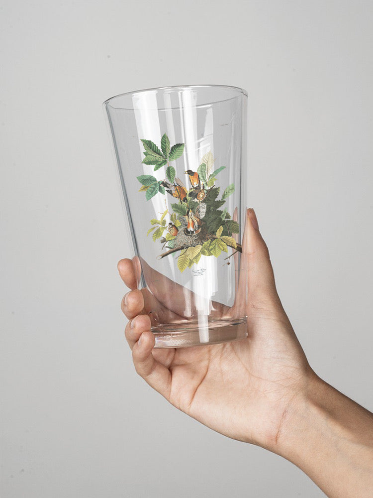 American Robin Ii Pint Glass -John James Audubon Designs