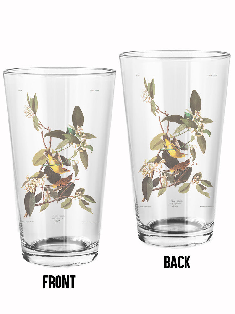 Palm Warbler Ii Pint Glass -John James Audubon Designs