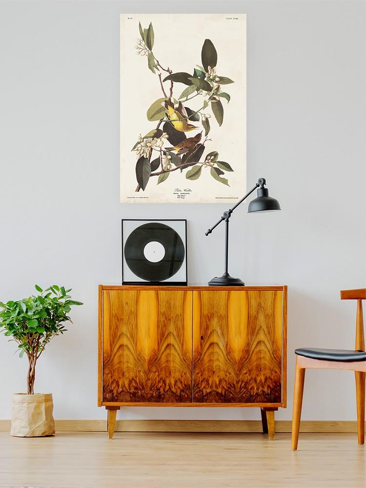 Palm Warbler Iii Wall Art -John James Audubon Designs
