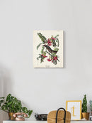 Piping Flycatcher Ii Wall Art -John James Audubon Designs