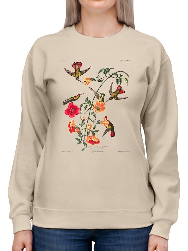 Mango Hummingbirds I Sweatshirt -John James Audubon Designs