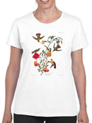 Mango Hummingbird T-shirt -John James Audubon Designs