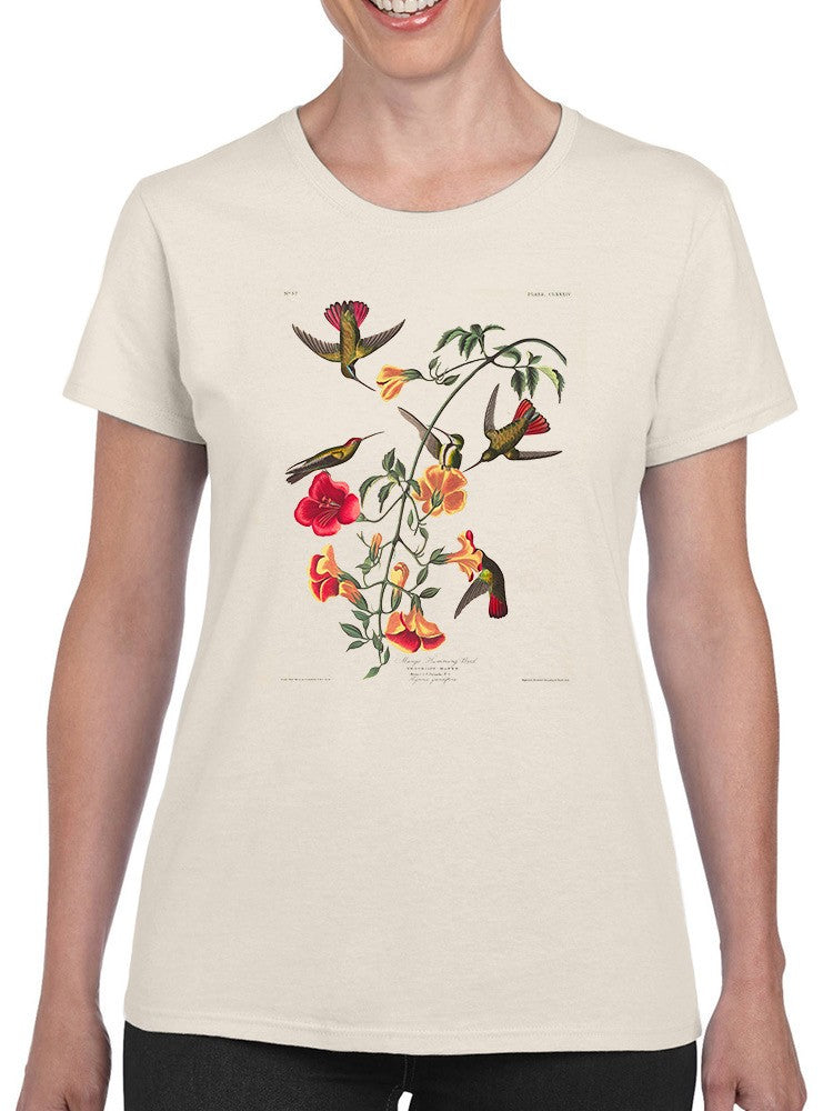 Mango Hummingbird T-shirt -John James Audubon Designs