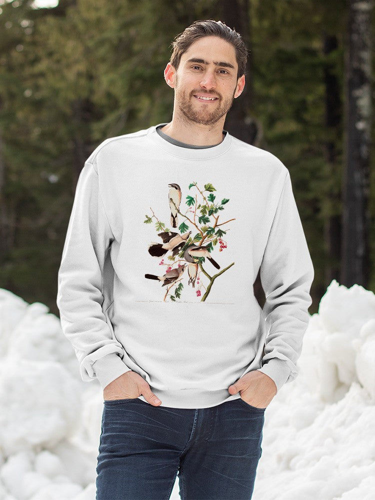 Great Cinereous Shrikes Sweatshirt -John James Audubon Designs