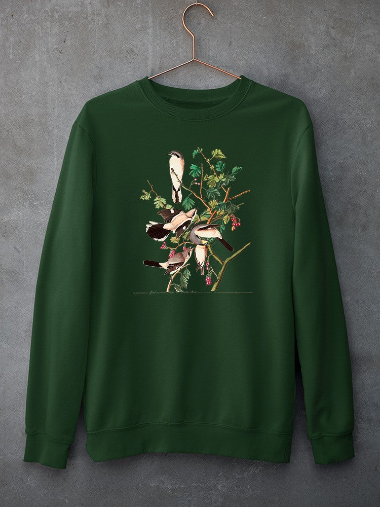 Great Cinereous Shrikes Sweatshirt -John James Audubon Designs