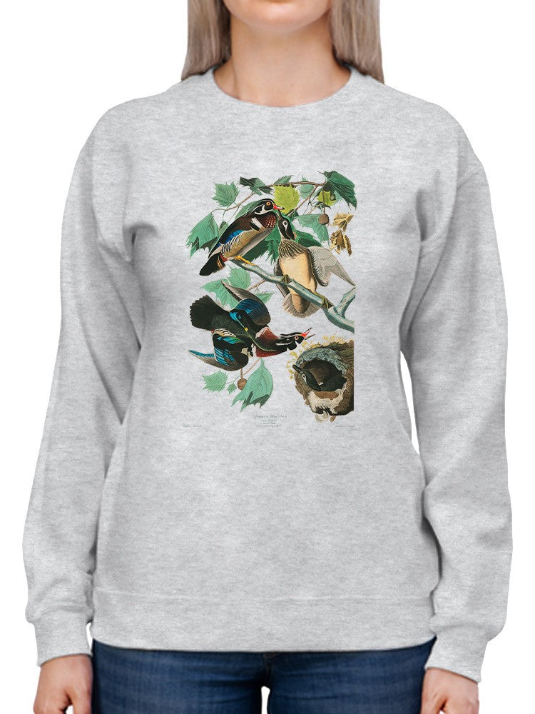Wood Ducks Art Sweatshirt -John James Audubon Designs