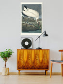 Wood Ibis Wall Art -John James Audubon Designs