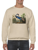 A Tricolored Heron Sweatshirt -John James Audubon Designs