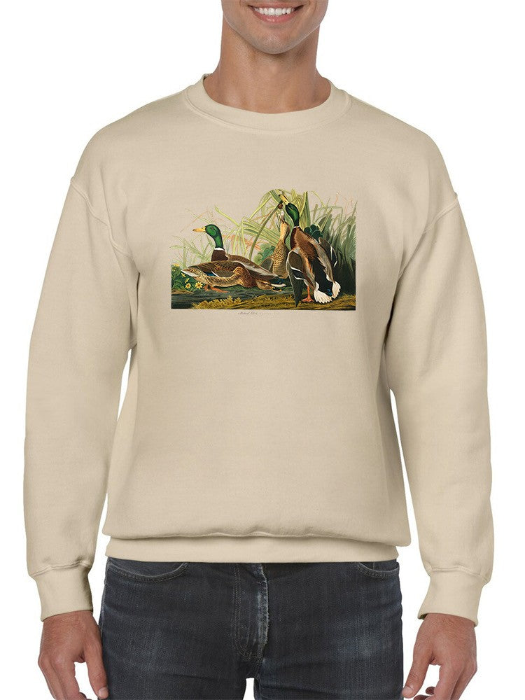 Cute Mallard Ducks Sweatshirt -John James Audubon Designs