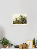 Mallard Ducks Wall Art -John James Audubon Designs