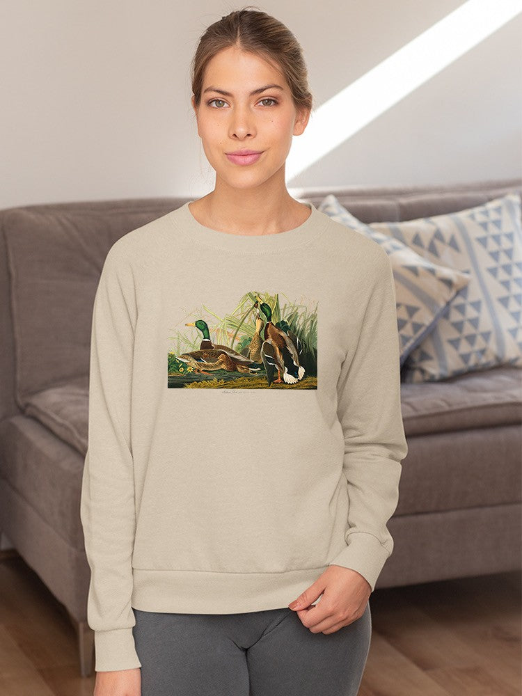 Cute Mallard Ducks Sweatshirt -John James Audubon Designs