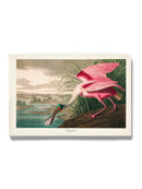 Roseate Spoonbill Wall Art -John James Audubon Designs
