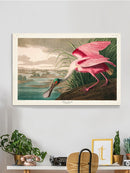 Roseate Spoonbill Wall Art -John James Audubon Designs