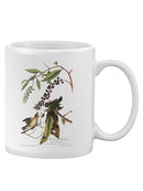 Worm-Eating Warbler. Mug -John James Audubon Designs
