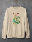 Ruff-Necked Hummingbirds. Sweatshirt -John James Audubon Designs