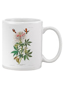 Ruff-Necked Hummingbird Mug -John James Audubon Designs